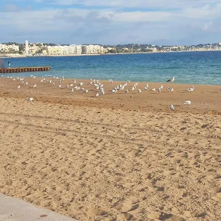 T2 Climatise A 5 Minutes A Pied De La Avec Parking, Piscine Et Wifi Διαμέρισμα